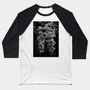 Backyard Flowers In Black And White 21 Baseball T-Shirt